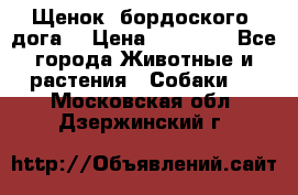 Щенок  бордоского  дога. › Цена ­ 60 000 - Все города Животные и растения » Собаки   . Московская обл.,Дзержинский г.